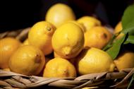 Böbrek Taşına Limon Tedavisi